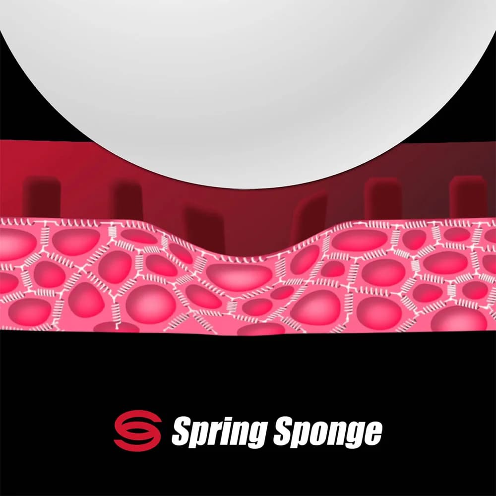 Diagramm der Spring-Sponge-Technologie