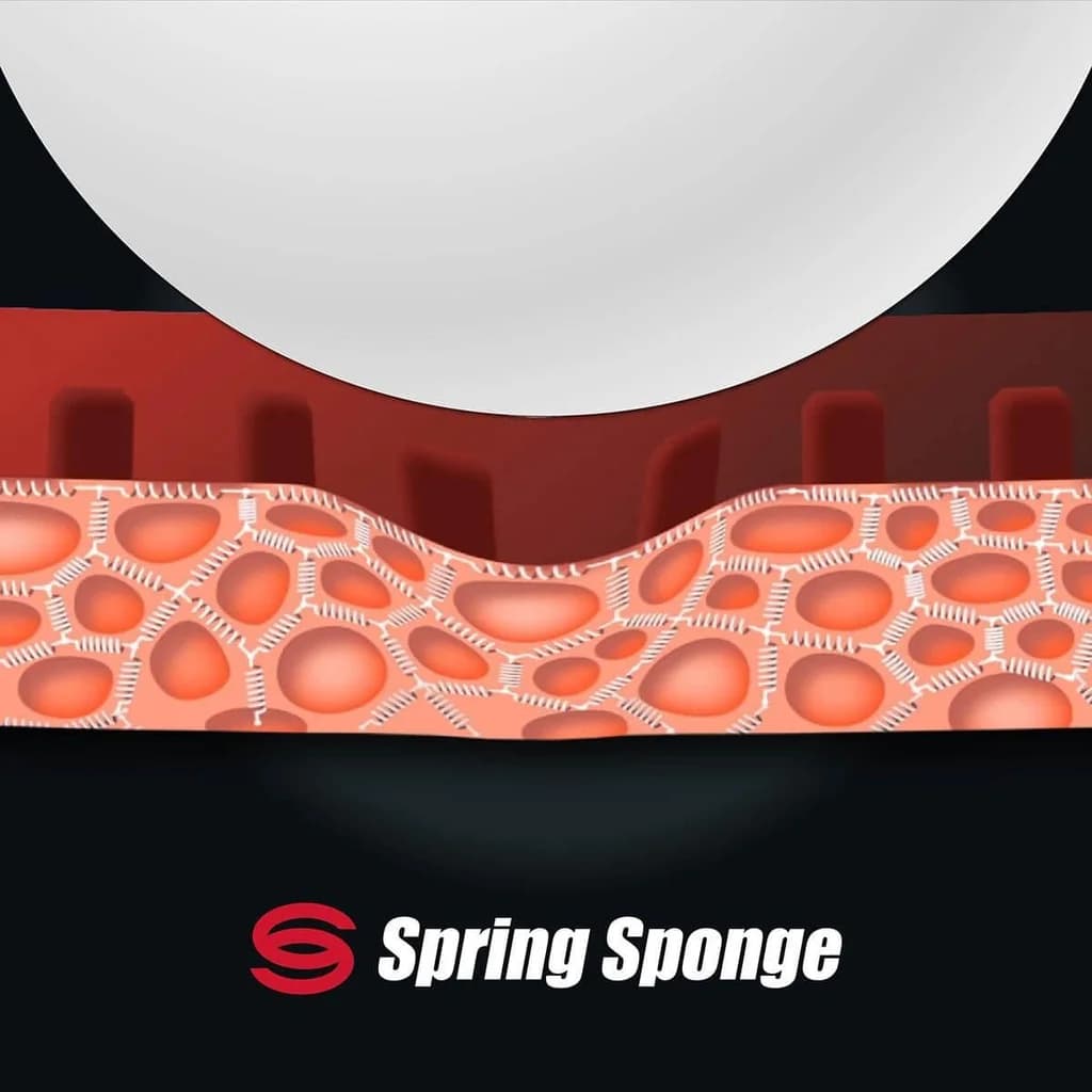 Illustration des Spring-Sponge-Schwamms von Butterfly