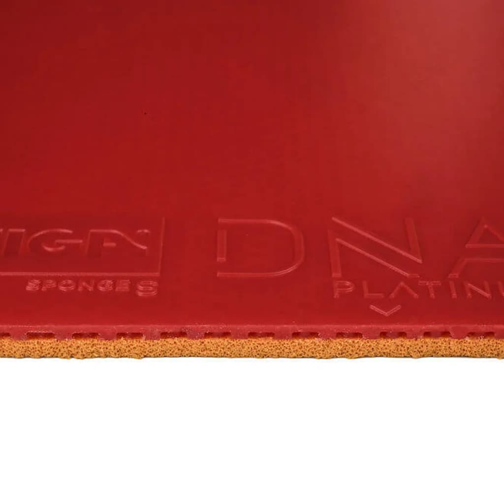 Detail der Belagskante mit rotem Obergummi und orangefarbenem Schwamm